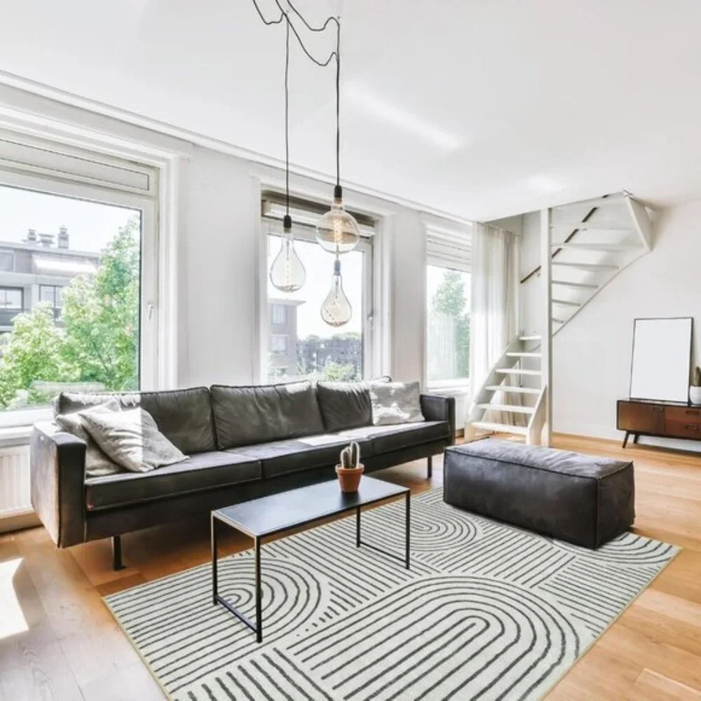 New 5x7 Black & White Abstract Rug, Washable Non-Slip Modern Carpet for Home